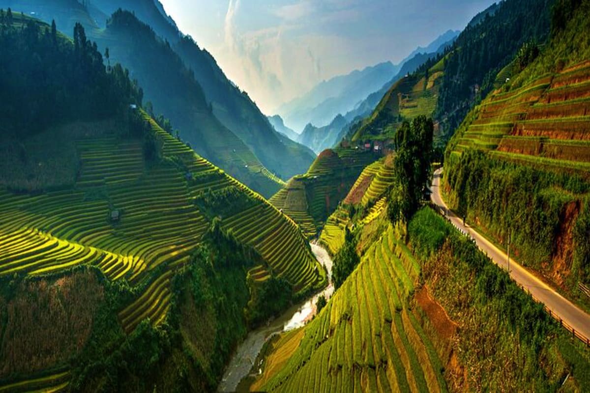 Sapa Half Day Trekking Tour Terraced rice fields in mountain valley with river and forested slopes, Sapa Vietnam trekking landscape